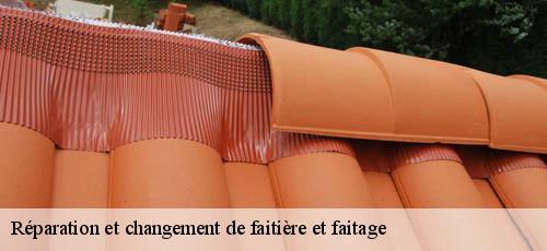 Réparation et changement de faitière et faitage 94 Val-de-Marne  L’ATELIER DES COMPAGNONS