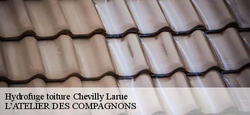 Hydrofuge toiture chevilly-larue-94550 L’ATELIER DES COMPAGNONS