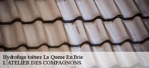 Hydrofuge toiture la-queue-en-brie-94510 L’ATELIER DES COMPAGNONS