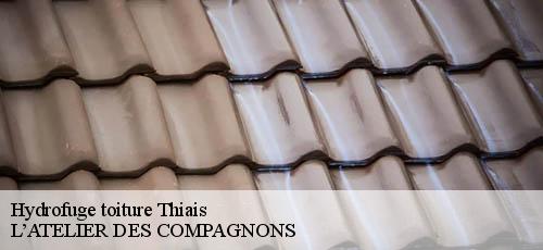 Hydrofuge toiture thiais-94320 L’ATELIER DES COMPAGNONS