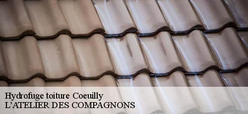 Hydrofuge toiture coeuilly-94500 L’ATELIER DES COMPAGNONS