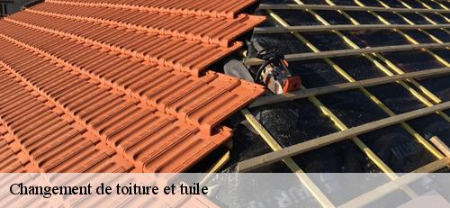 Changement de toiture et tuile aeroport-d-orly-94390 L’ATELIER DES COMPAGNONS