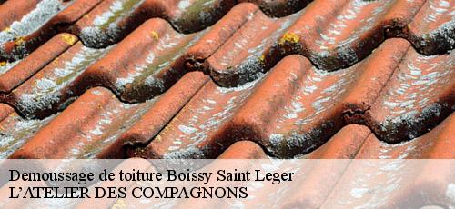 Demoussage de toiture boissy-saint-leger-94470 L’ATELIER DES COMPAGNONS
