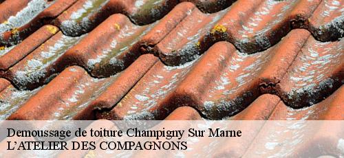 Demoussage de toiture  champigny-sur-marne-94500 L’ATELIER DES COMPAGNONS