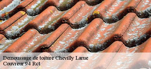 Demoussage de toiture  chevilly-larue-94550 Couvreur 94 Rct