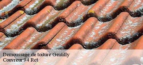 Demoussage de toiture  gentilly-94250 Couvreur 94 Rct