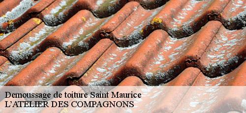 Demoussage de toiture  saint-maurice-94410 L’ATELIER DES COMPAGNONS