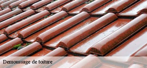 Demoussage de toiture  les-bruyeres-94370 Couvreur 94 Rct