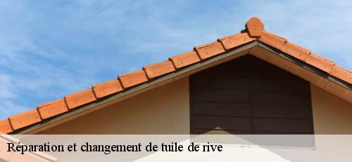 Réparation et changement de tuile de rive noiseau-94880 L’ATELIER DES COMPAGNONS