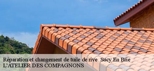 Réparation et changement de tuile de rive sucy-en-brie-94370 L’ATELIER DES COMPAGNONS