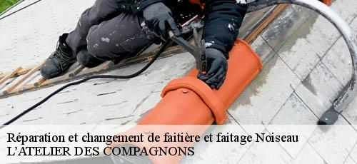 Réparation et changement de faitière et faitage noiseau-94880 L’ATELIER DES COMPAGNONS