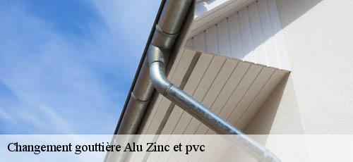 Changement gouttière Alu Zinc et pvc  ivry-sur-seine-94200 L’ATELIER DES COMPAGNONS