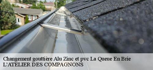 Changement gouttière Alu Zinc et pvc la-queue-en-brie-94510 L’ATELIER DES COMPAGNONS