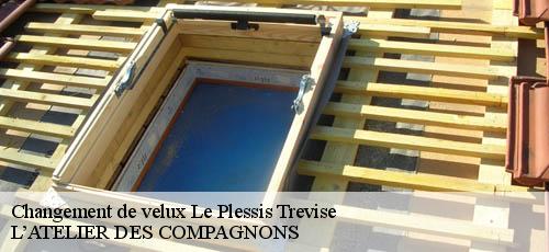 Changement de velux le-plessis-trevise-94420 L’ATELIER DES COMPAGNONS