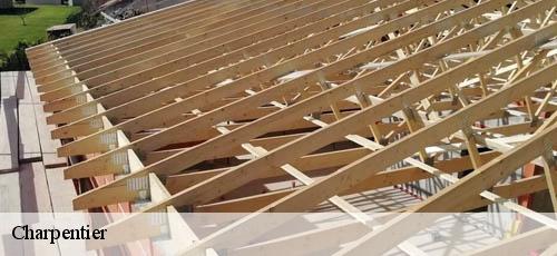 Charpentier  le-plessis-trevise-94420 Couvreur 94 Rct