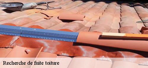 Recherche de fuite toiture  la-queue-en-brie-94510 Couvreur 94 Rct