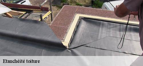 Etanchéité toiture  charenton-le-pont-94220 Couvreur 94 Rct