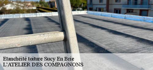 Etanchéité toiture  sucy-en-brie-94370 L’ATELIER DES COMPAGNONS