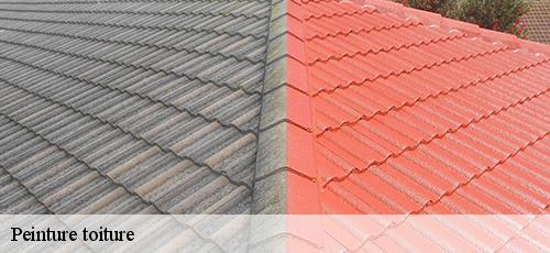 Peinture toiture 94 Val-de-Marne  Couvreur 94 Rct