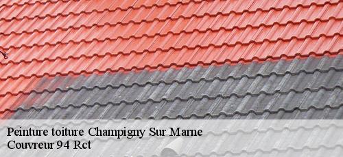 Peinture toiture  champigny-sur-marne-94500 Couvreur 94 Rct