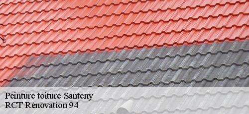 Peinture toiture  santeny-94440 RCT Rénovation 94
